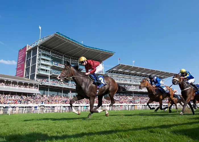 Lockwood St Cosy Victorian House In With Parking Pass The Keys York