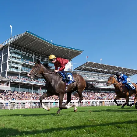 Lockwood St Cosy Victorian House In With Parking Pass The Keys ヨーク